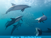 Spielen Sea bubbles 5 differences