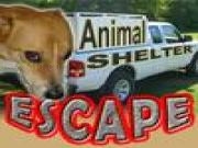 Spielen Animal shelter escape