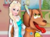 Spielen Elsa animal hospital