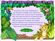 Spielen What kind of rainforest animal are you ?