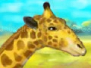 Giraffe Zoo