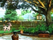 Spielen Wow Backyard Escape