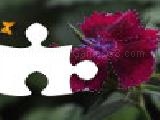 Spielen Kingdom of the flowers: garden beauty