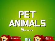 Spielen Pet animals similarities