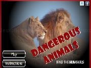 Spielen Dangerous animals - find the numbers