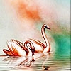 Spielen Golden swans slide puzzle