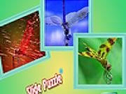Spielen Dragonfly in the garden puzzle