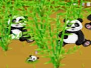 Play Panda wild farm now