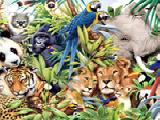 Spielen Find the spot-jungle animals