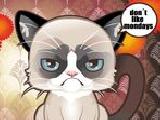 Grumpy cat