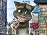 Spielen Talking tom dentist