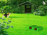 Spielen Backyard garden escape