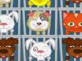 Spielen 1001 caged animals