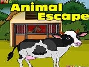 Spielen Ena Animal Escape