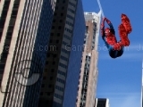 Spiderman Photo Catch 2