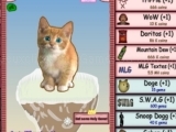 Spielen Cat Clicker MLG