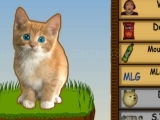 Play Cat Clicker MLG now