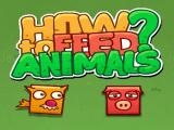Spielen How to feed animals