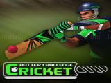 Play Cricket batter challenge game now