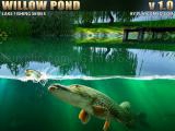 Play Willow pond fishing now