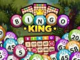 Spielen Bingo king