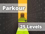 Spielen Parkour 25 levels