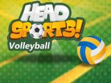 Spielen Head sports volleyball