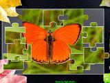 Spielen Jigsaw puzzle collection animals