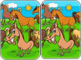 Spielen Animals differences