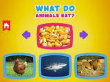 Spielen What do animals eat