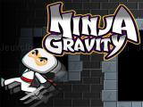 Spielen Ninja gravity now