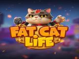 Play Fat cat life now