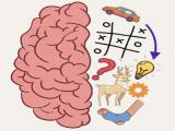 Spielen Brain puzzles-quests