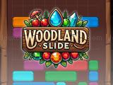 Spielen Woodland slide