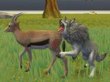 Spielen Wolf life simulator now