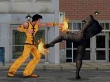 Spielen City fighter vs street gang