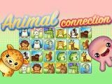 Spielen Animal connection