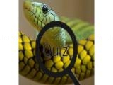Spielen Wildlife animal trivia:test your knowledge!