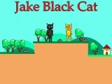 Spielen Jake black cat now