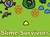 Spielen Slime survivors now