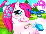 Spielen Horse pet salon 3d now