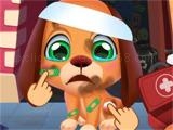 Spielen Stray puppy pet care game now
