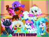 Spielen Cute pets summer dress up now