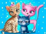 Spielen Cat hair salon now