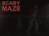 Spielen Scary maze 3d