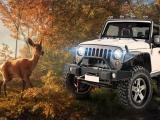 Play Safari jeep car parking sim: jungle adventure now