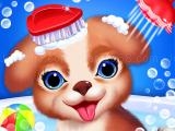 Spielen Princess pup rescue now