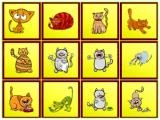 Spielen Cats findiff now