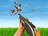 Spielen Bird hunting gun fire shooter now