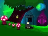 Spielen Arno eagle rescue now